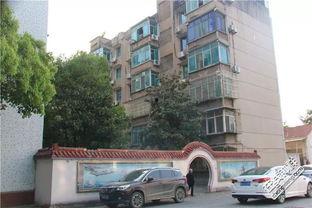 钟祥三中最新爆料,揭秘校园风云背后的真相